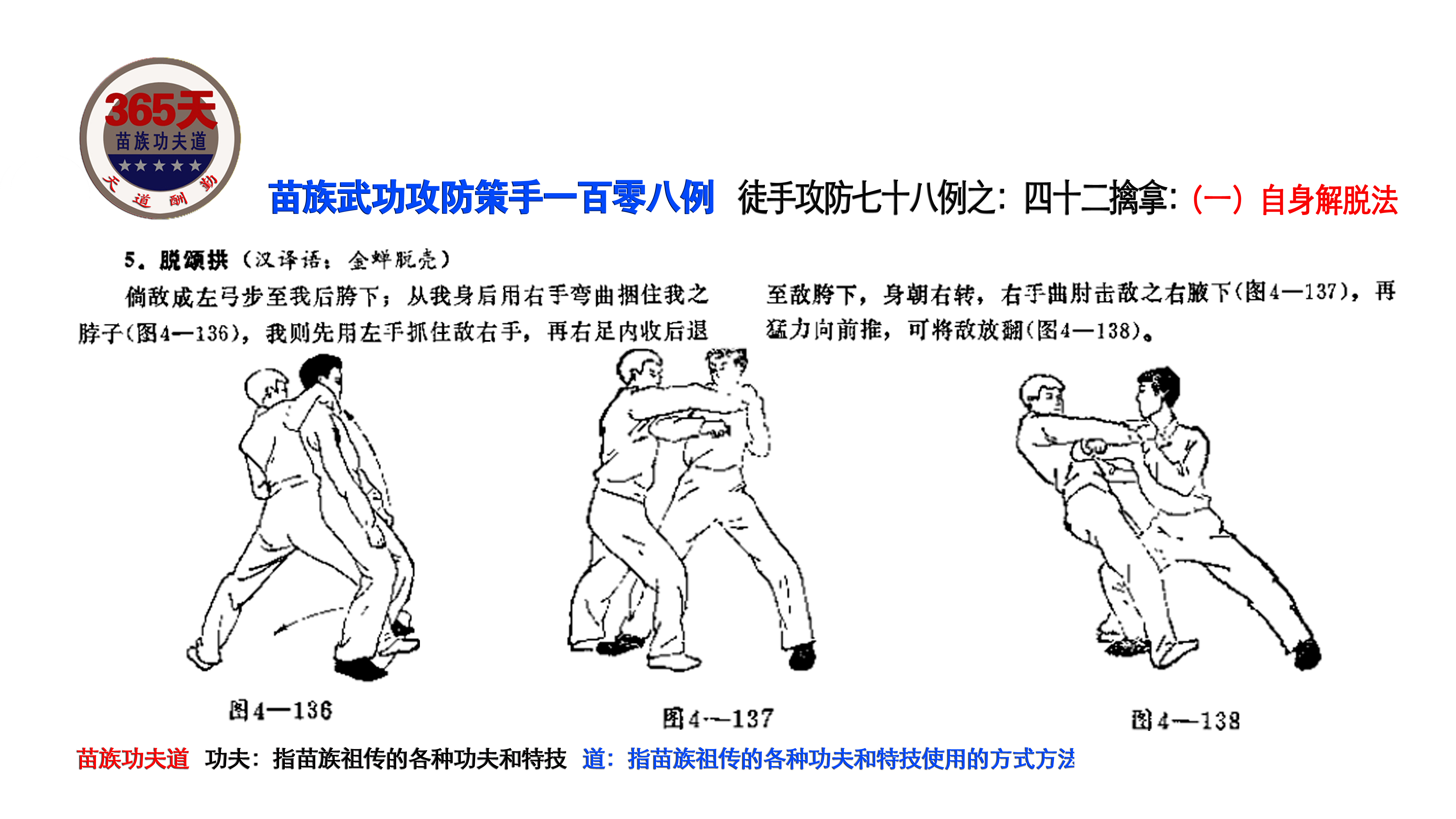 体育攻防拳教学视频全集，拳术之美深度解析与实践指南