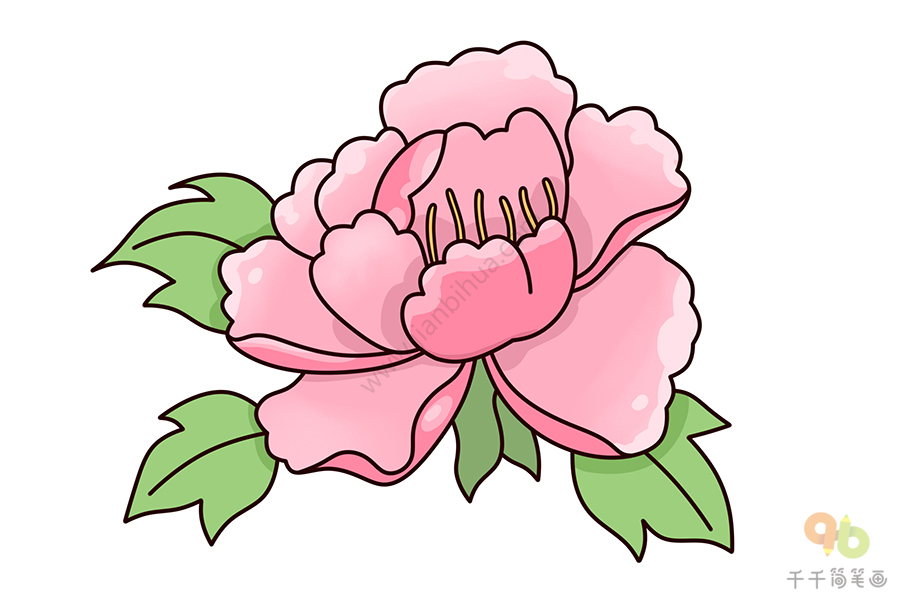 体育公园中的牡丹简笔画之美赏析