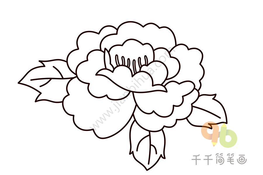 体育公园中的牡丹与简笔画之美