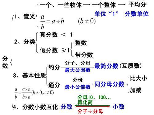 体育分数的意义与性质，深度解读与反思探讨