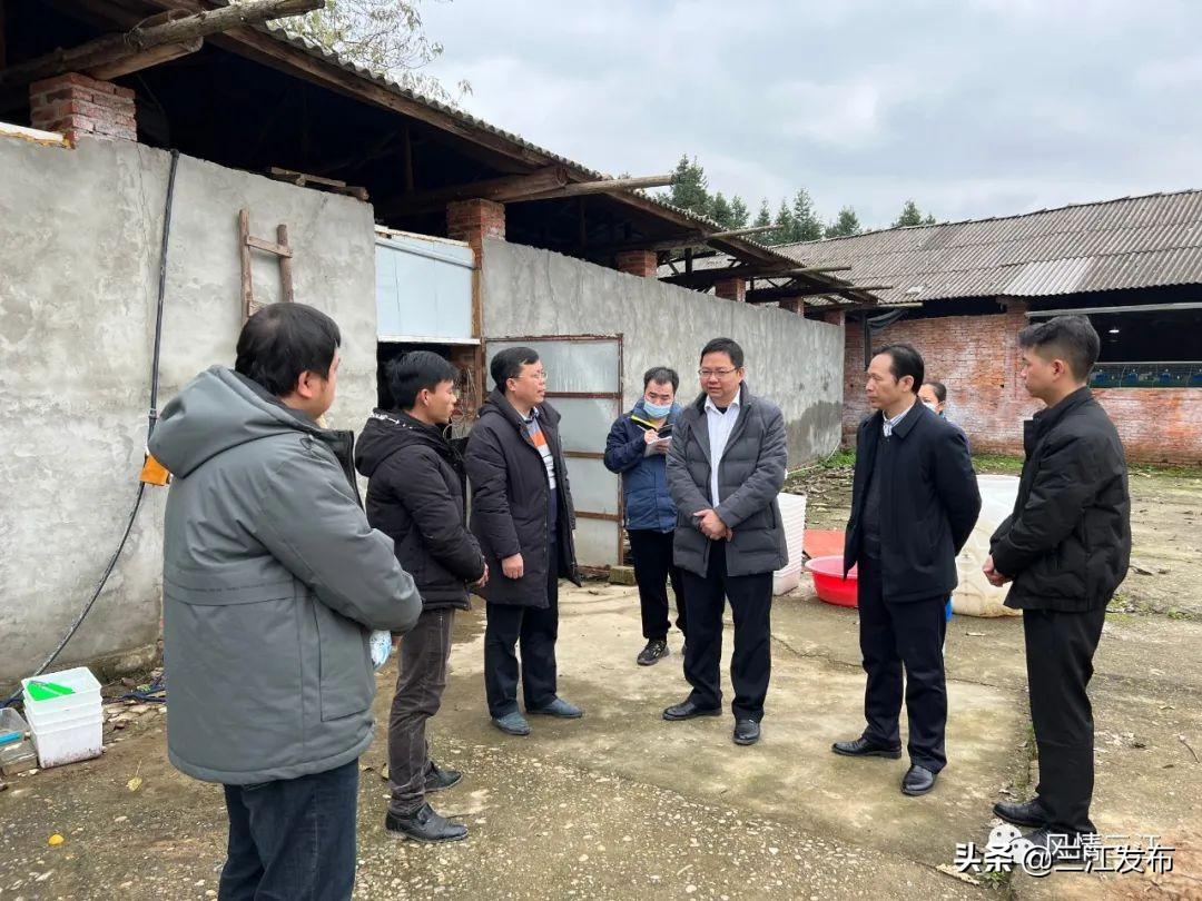 三江梅林足球赛直播，激情与荣耀的碰撞