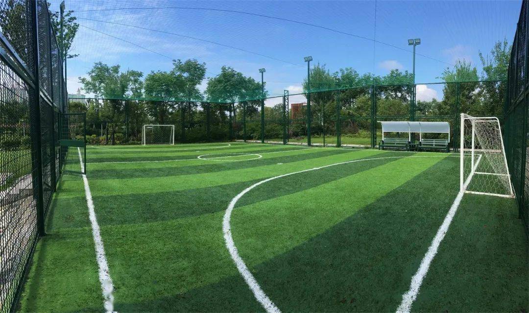 槐荫公园足球场直播时间，体验实时足球盛宴