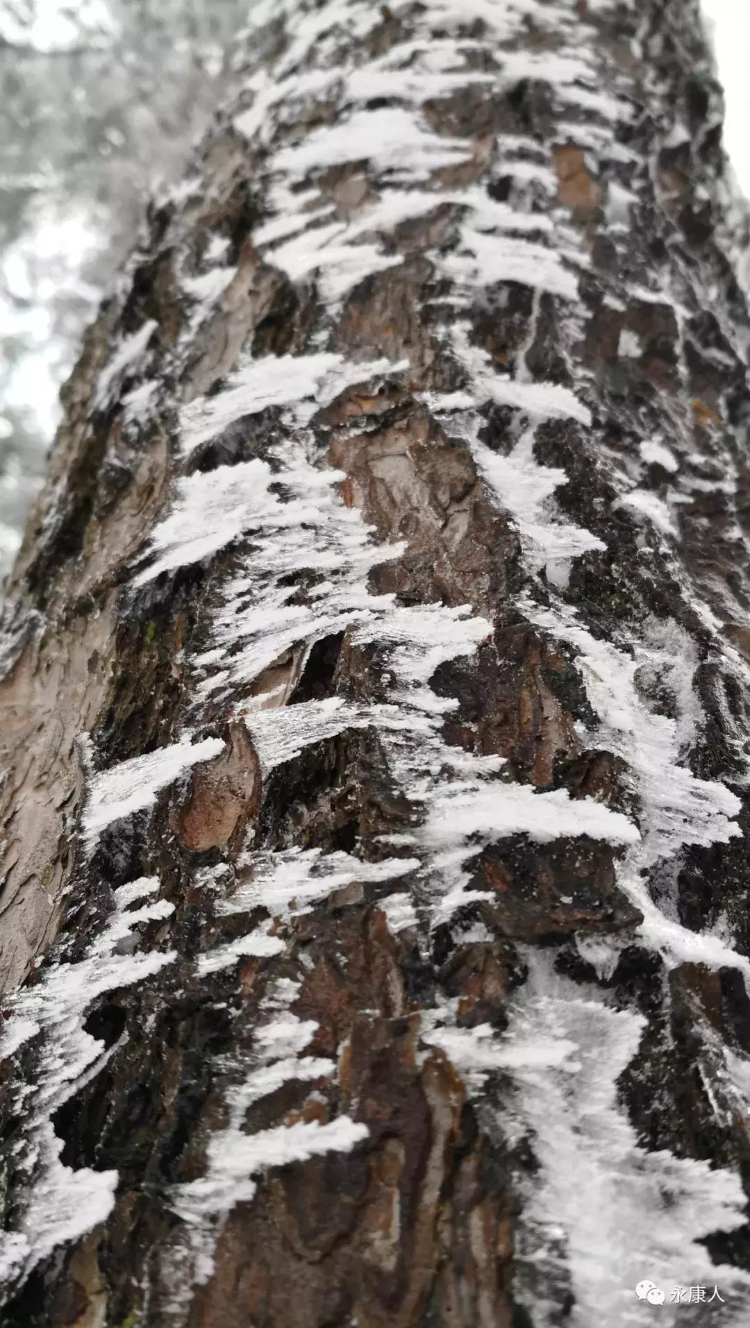 永康花街足球赛直播回放，激情与荣耀的重燃