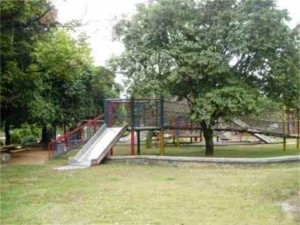 广州体育公园实拍，城市绿肺与运动活力的完美交融