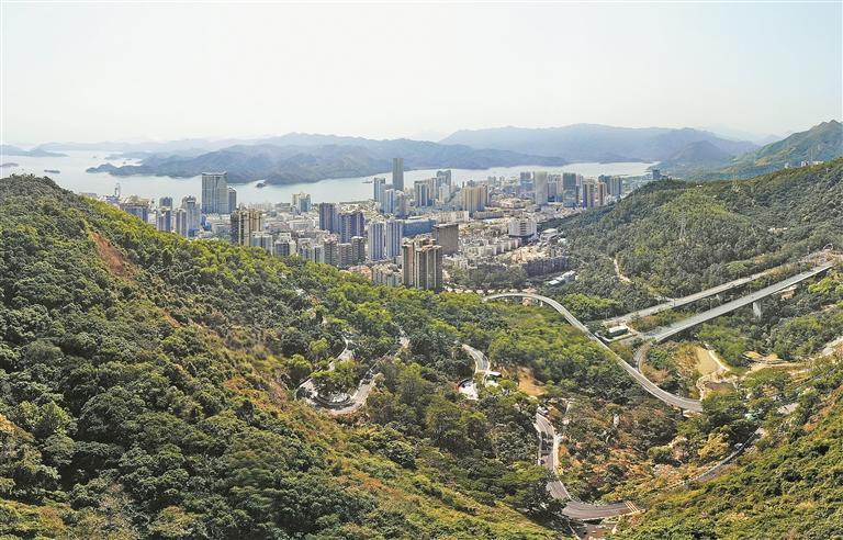 罗湖体育馆票价详解