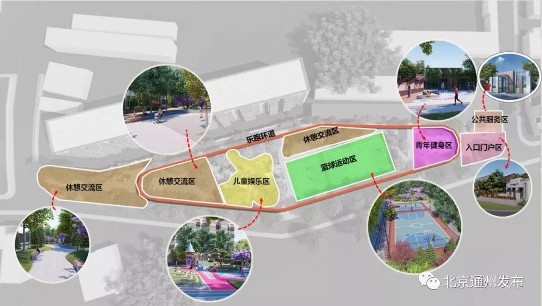 通州体育比赛概览