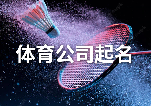 体育教育公司命名艺术，创新与品牌塑造之道