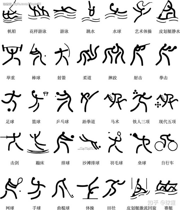 中国体育术语解析概览