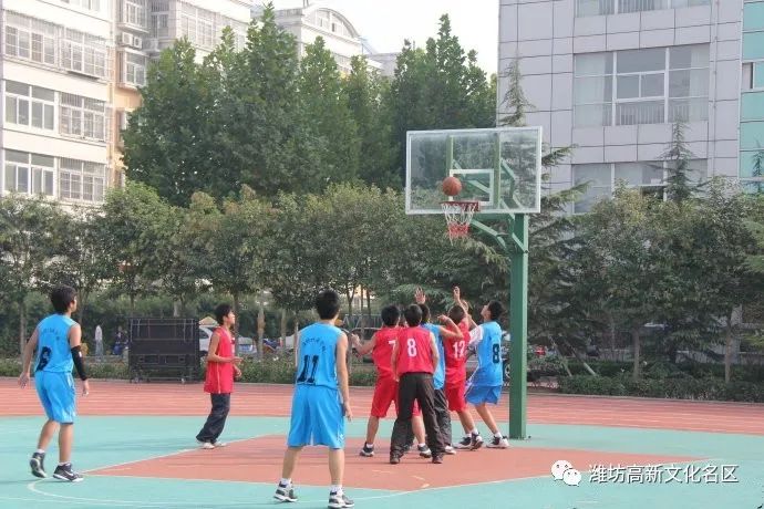 衡安学校体育中考篮球，挑战与机遇的交织