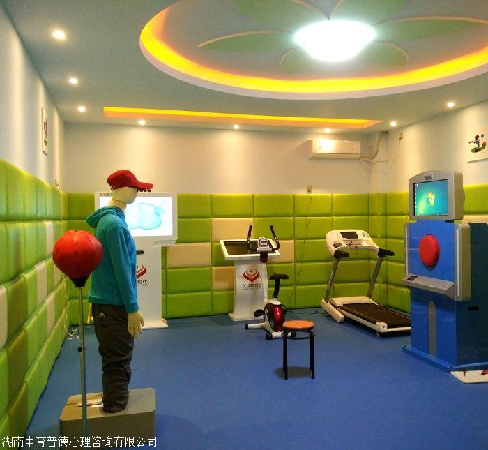 体育心理室设备概览与种类介绍
