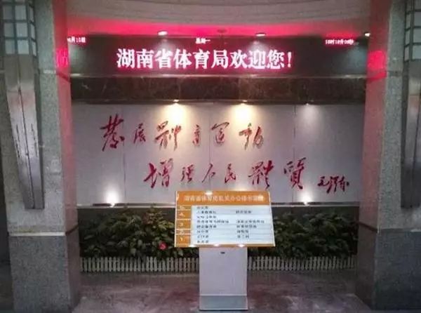 重庆体育教师招聘条件全面解析