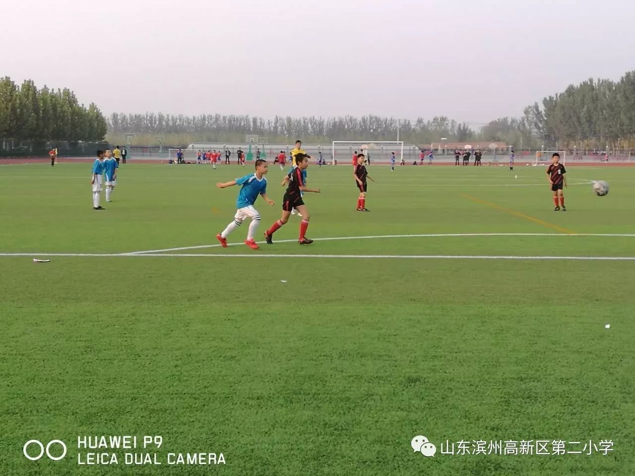 泉园二校足球赛直播，激情与荣耀的碰撞