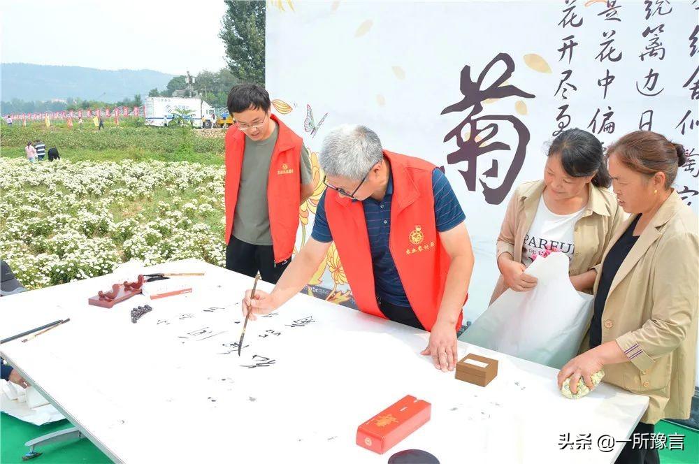 安阳足球杯开幕式直播视频，文化与体育的璀璨盛宴