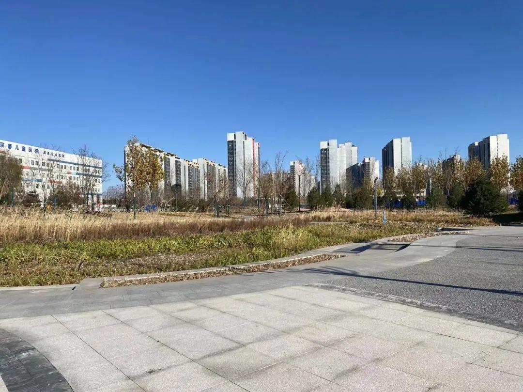那东小学足球场直播，运动精神的活力与激情展现