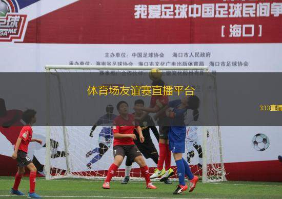 足球友谊赛直播在线观看，跨越时空的竞技激情盛宴