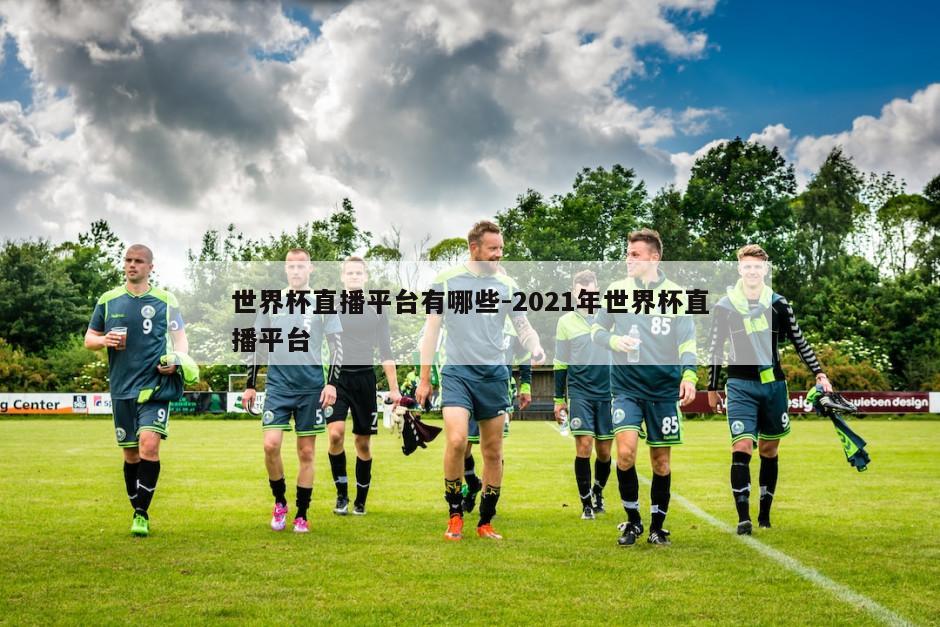 世界杯足球直播，激情与技术的盛宴