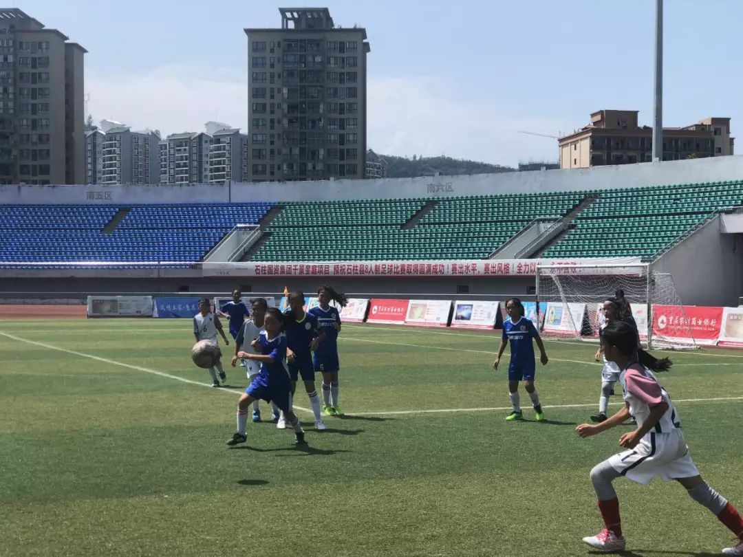 足球直播三峡医高专，激情与知识的碰撞