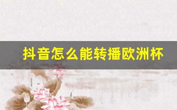 抖音足球直播开启指南，步骤详解与注意事项