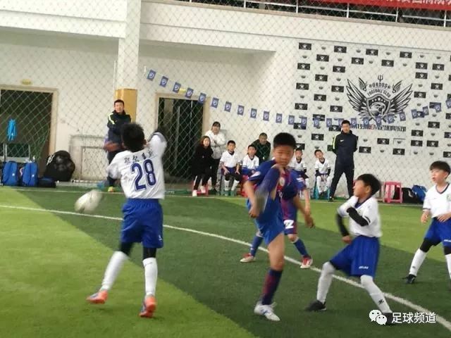 蓝旗小学体育足球队直播，激情与拼搏的展现