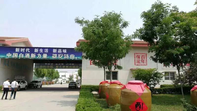 雄安杯京津冀足球直播，点燃区域激情，共筑足球梦想