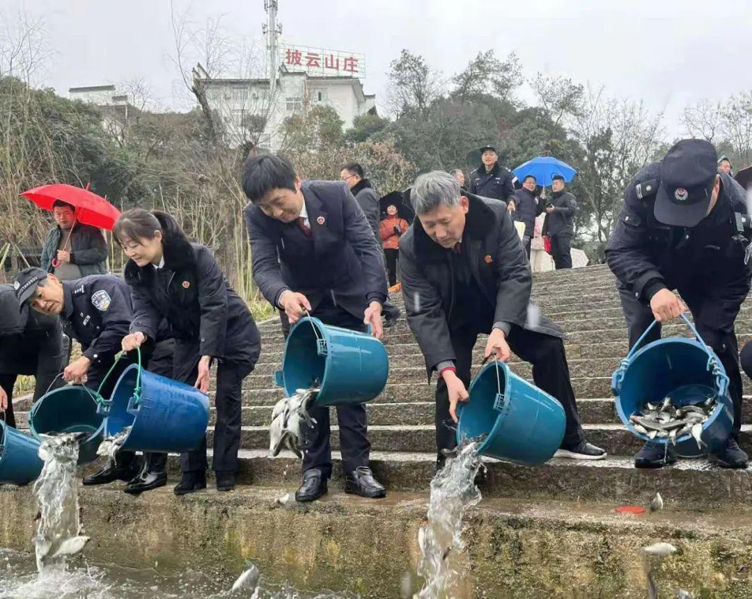 歙县足球赛直播平台的多元化选择