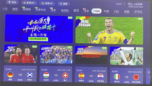 免费观看足球比赛直播在线平台的全新体验