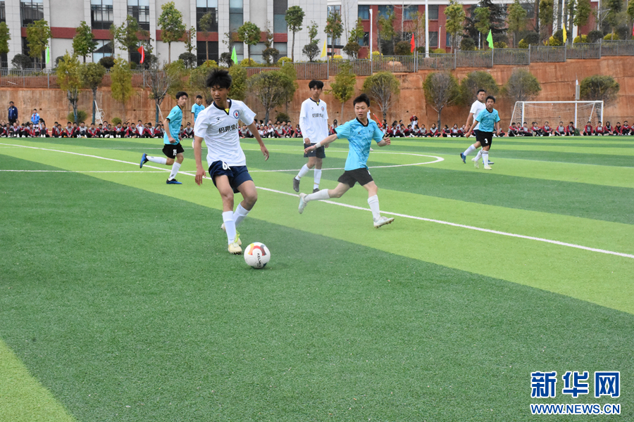 大学生足球联赛2024直播，激情与青春的碰撞