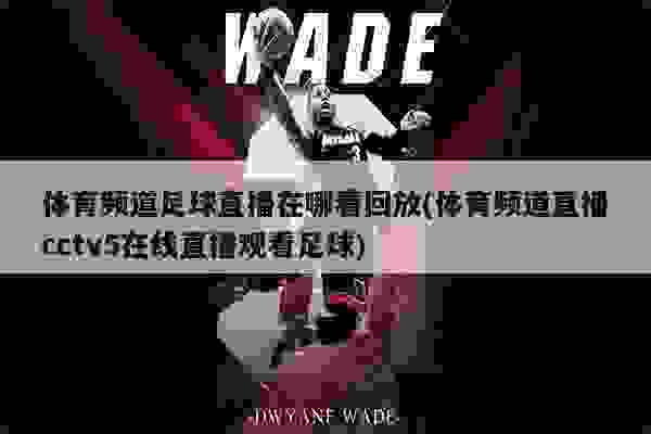 重温精彩瞬间，尽享激情足球，电视足球直播回放观看指南