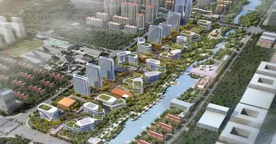 青岛7号足球赛直播视频——热血激情的赛场瞬间