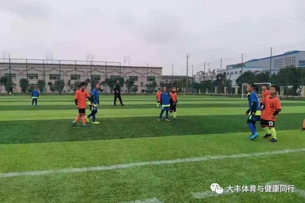 大丰体育馆足球现场直播，激情与技术的完美结合