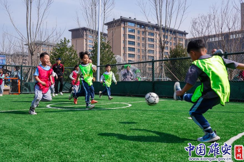 雄安青少年足球赛直播，青春激情的碰撞时刻
