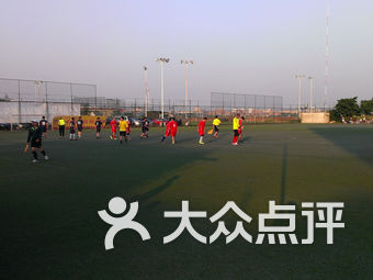 金莎足球场直播视频高清，体验无与伦比的足球盛宴