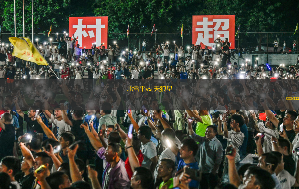 迪吧足球赛事直播回放，热血与激情的不眠之夜盛宴