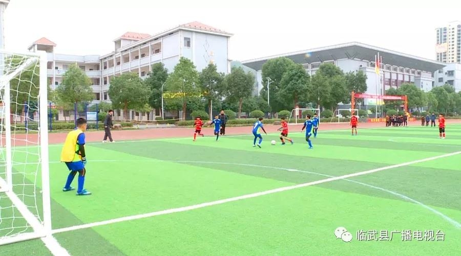 临武县足球比赛直播回放，热血赛事的再现与回味