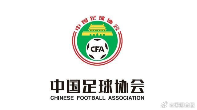 足协与中足联变革之路，纪律与道德重塑的力量与处罚公布机制的革新