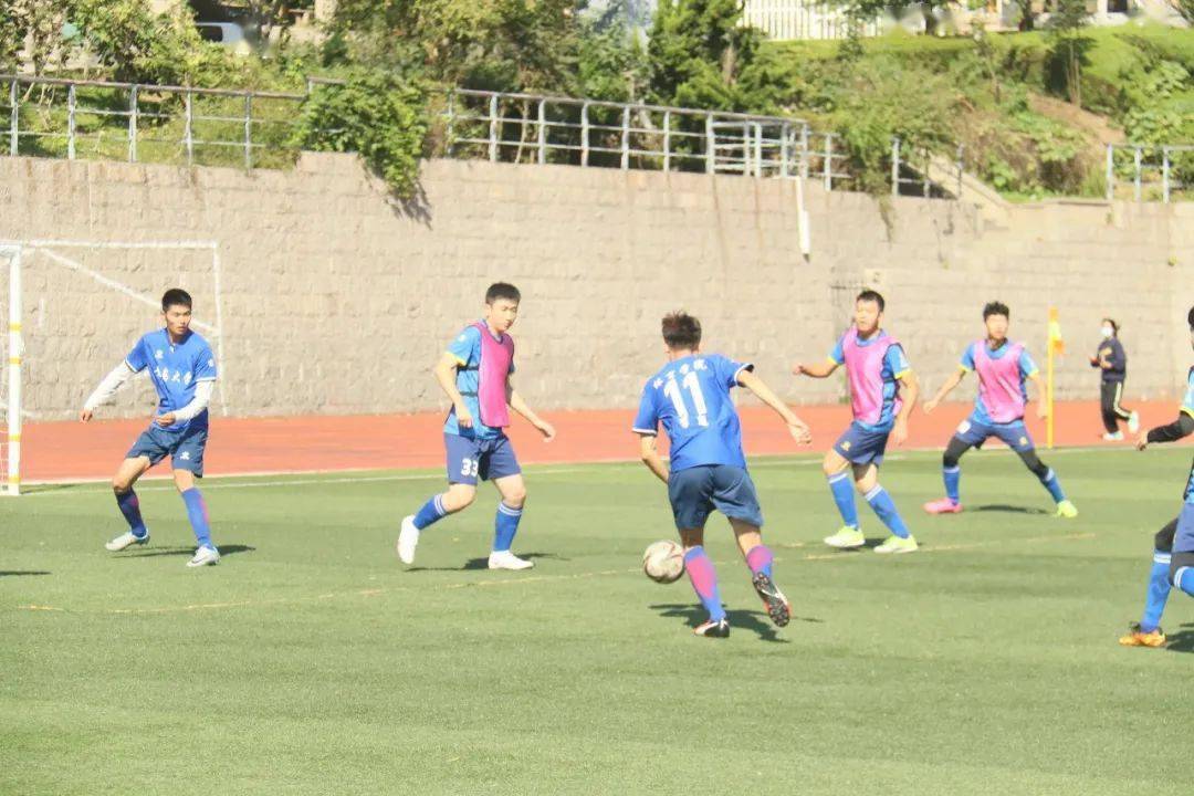 咪咕足球直播，免费观看高清足球比赛的全新体验