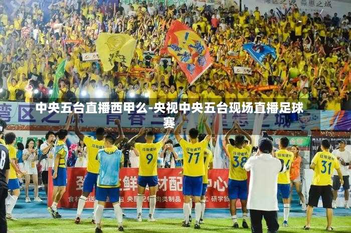 中央五台直播足球比赛，激情与技术的完美结合