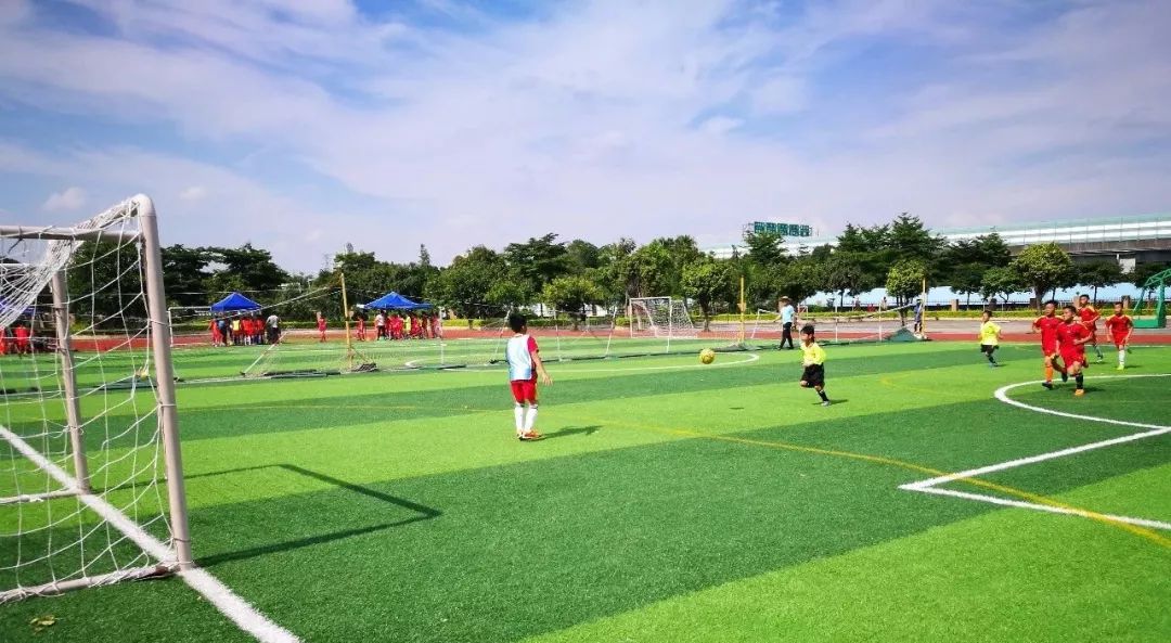 小学生五人足球视频直播，激情与成长的见证