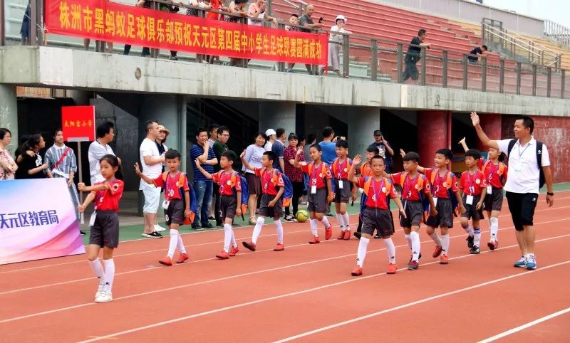 小学生五人足球视频直播，激情与成长的见证