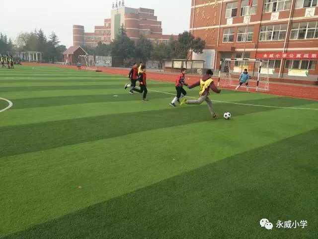 泌阳县校园足球联赛直播，热血青春，梦想启航