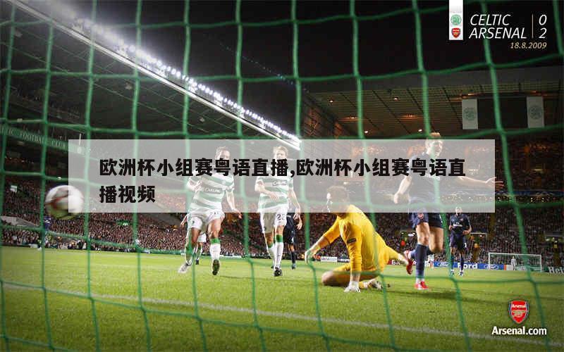 粤语足球欧冠直播视频在线观看，热爱足球与粤语的完美结合