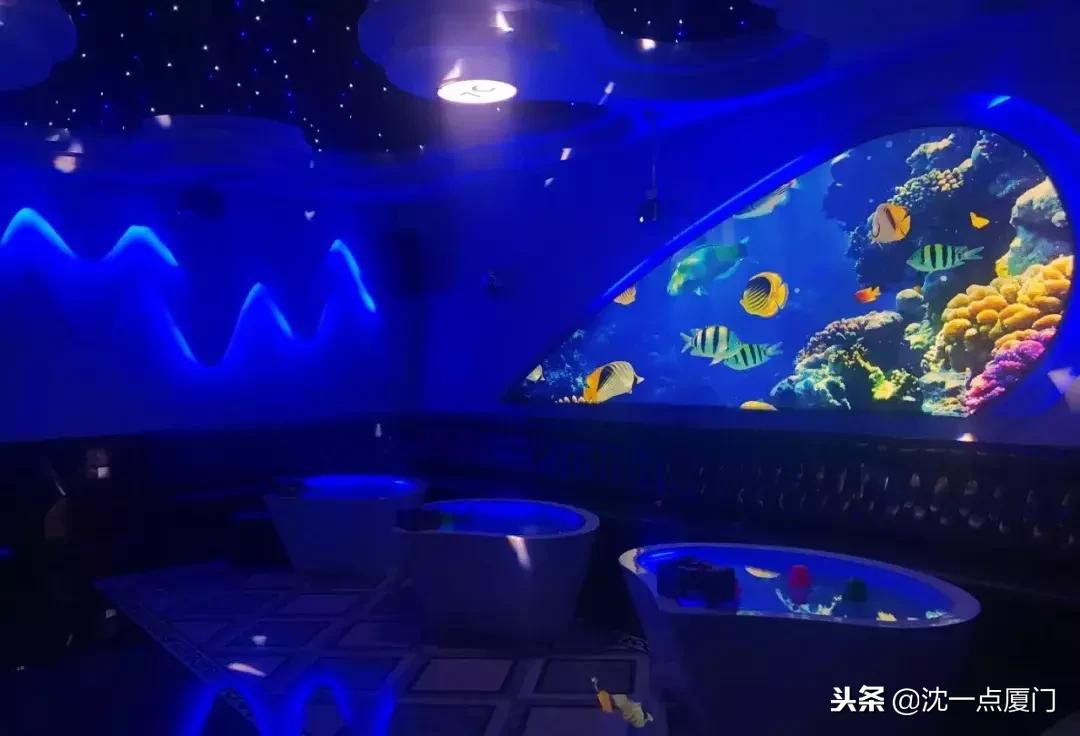 投影仪观看网络足球直播，升级体验与沉浸感受新境界