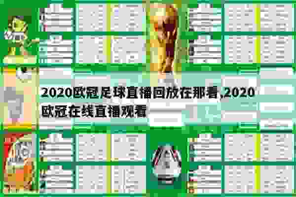 足球直播，长时间欧冠比赛的魅力与挑战