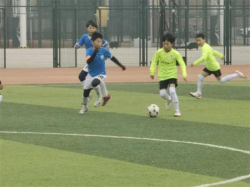 高新六小足球队直播视频，展现足球魅力与团队精神