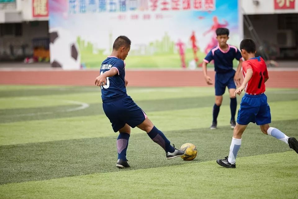 龙海小学生足球比赛直播，激情与梦想的碰撞
