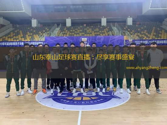 泰安市足球直播网官网，城市激情与足球魅力的交汇点