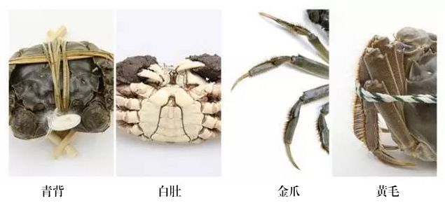 苏祖蝎子摆尾惊险瞬间，险些踢中钟浩然面部，主裁精准判断避免直红事件