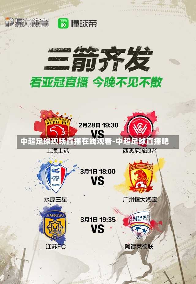 中甲足球春燕直播观看指南，如何在线观看精彩赛事直播