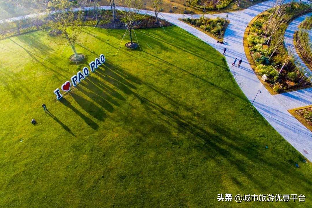 滨河公园足球场直播时间，运动激情与数字时代的完美结合