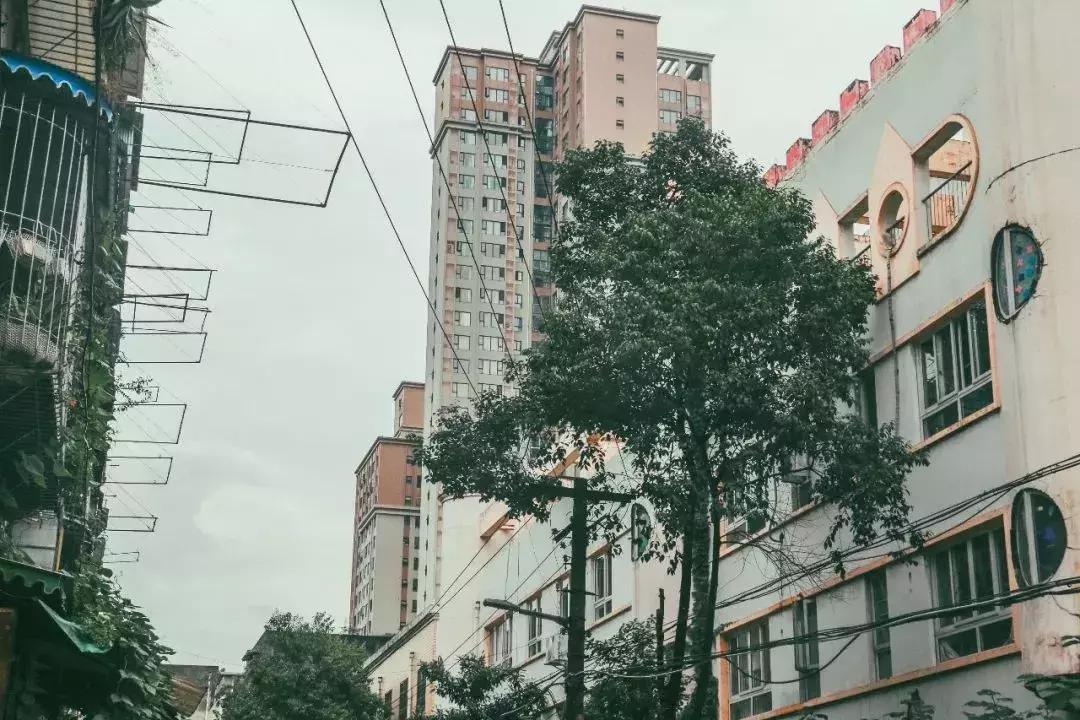 双桥子足球场直播时间与运动盛宴时间曝光